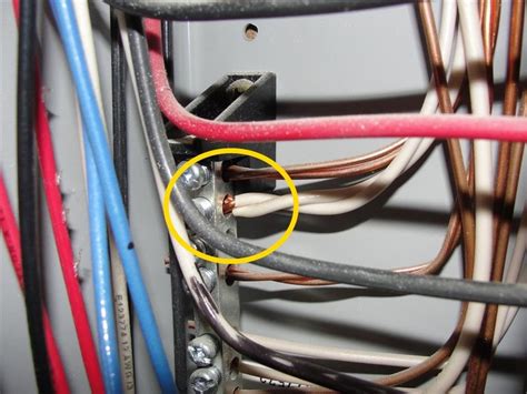 an extra neutral wire in electrical box|double tapped neutral wires.